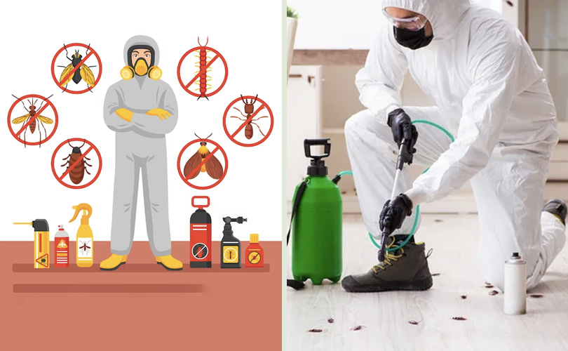 Pest Control